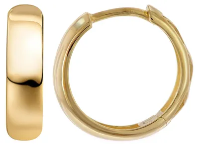 Produktbild von trendor 21698 Damen-Ohrringe Gold 333/8K Glanz Klapp-Creolen 15x4 mm