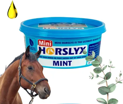 Zdjęcie produktu dla Horslyx Mint Masa Energetyczna Dla Koni W Formie Bloków 650g