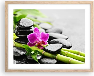 Produktbild von Gerahmtes Poster - Rahmen in heller Eiche - Pflanze Steine Bambus Spa - 50x40 cm - Wand Bild - Wanddeko - Wandbilder - Wandposter - Bilderrahmen - Bilder - Kunstdruck - Wandbild - P2NAA50x40-2681
