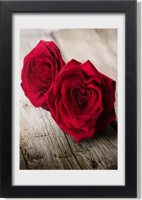 Produktbild von Bild 20x30 MDF-Rahmen, Wandkunst Rote Rosen