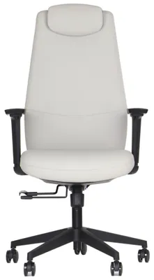 Immagine prodotto di Sedia girevole ergonomica da ufficio SELLA, base in nylon, braccioli e poggiatesta regolabili, estensione del sedile, rivestito in ecopelle, beige