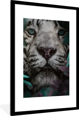 Produktbild von MuchoWow® MuchoWow® Gerahmtes Poster Tiger - Weiß - Dschungel 60x90 cm - Poster mit zchwarzem Bilderrahmen - Dekoration - Wandposter Wohnzimmer - Hochwertig