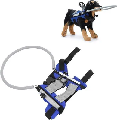 Image de Harnais pour chien léger et réfléchissant, bleu, taille S
