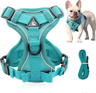 Produktbild von Verstellbares Hundegeschirr für kleine Hunde - Reflektierendes Geschirr mit Griff für sicheres Spazierengehen