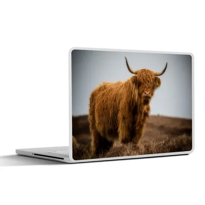 Produktbild von MuchoWow® Laptop Aufkleber Sticker Cover Schottischer Highlander - Düne - Gras 25x18 cm - Laptop-Deko