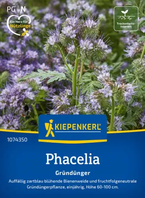 Artikelbild 2 von 'Phacelia Bienenfreund (50 g)' aus der Kategorie Gründünger & -düngung