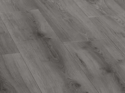 Produktbild von Laminat Jangal 8058 Structure Oak National Park Line Pro 8mm