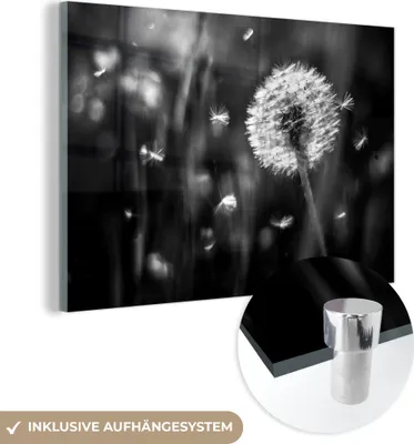 Produktbild von MuchoWow Glasbilder - Bilder auf Wandbild - Foto auf Glas Löwenzahn - Schwarz - Weiß - Pflanze 30x20 cm Wanddekoration aus Glas - Acrylglasbild - Acrylbilder - Bilder auf glas wandbild