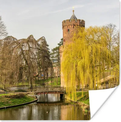 Produktbild von MuchoWow® Poster Wasser - Baum - Nijmegen 100x100 cm - Babyzimmer