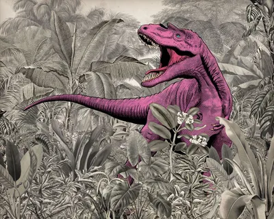 Produktbild von Komar Fototapete Dino Rosa und Grau - 610857 - 350 x 280 cm