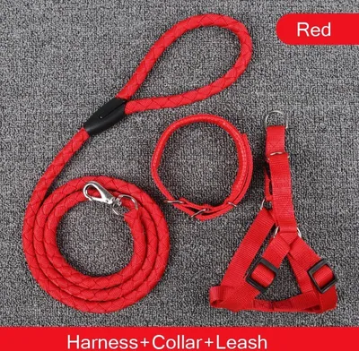 Zdjęcie produktu dla Smycz + szelki + obroża Easy Red L