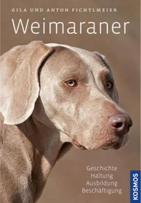 Image de Weimaraner