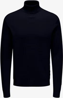Image de Col roulé Pull en tricot Manches longues fines ONSPHIL |