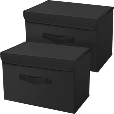 Produktbild von Aufbewahrungsboxen mit Deckel – 2er-Set, Stoffkörbe, faltbare Aufbewahrungsboxen mit Sichtfenster, 38 x 25 x 25 cm, faltbare Box für Kleidung