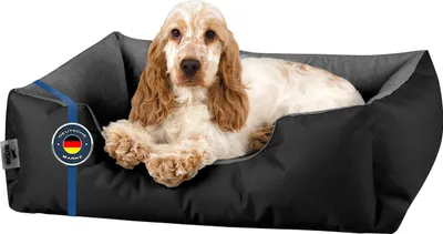 Produktbild von BedDog Hundebett LUPI waschbar,(S) ca. 55x40x17cm,THE-ROCK (schwarz/grau)