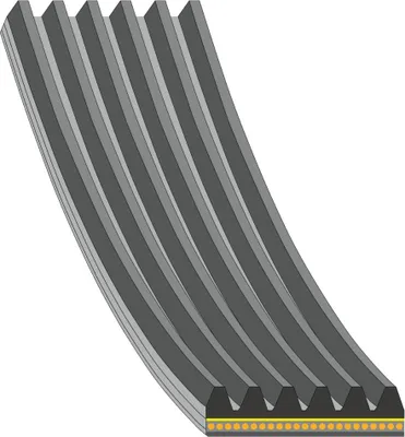 Produktbild von FEBI BILSTEIN Keilrippenriemen 1441mm für AUDI A6 Avant (4A5, C8) 184932