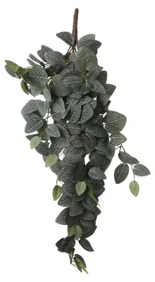 Obrázek produktu pro Slídové dekorace Fittonia závěsná umělá rostlina - D15 x Š20 x V54 cm - zelená