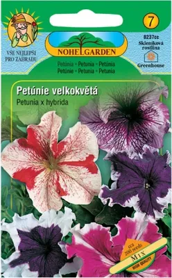 Zdjęcie produktu dla Petunia falista, mieszana