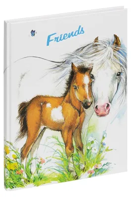 Produktbild von PAGNA Freundebuch "süßes Fohlen" 120 g/qm 60 Blatt