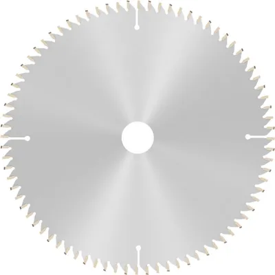 Obrázek produktu pro Pilový kotouč AD 254mm Z.80 HLTCG otvor.30mm řez-š.3,2mm HM BOSCH