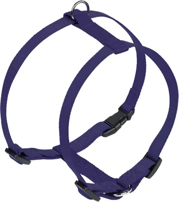 Imagen del producto de Nobby, juego de vajilla "Classic", color azul, modelo 73168-06