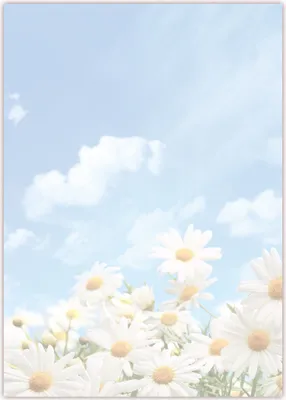 Produktbild von Motiv Briefpapier (Margeriten-5030, DIN A4, 100 Blatt). Einseitig bedrucktes Briefpapier, beschreibbar, Motivpapier für alle Drucker/Kopierer geeignet Motiv Blumen Margeriten blauer Himmel
