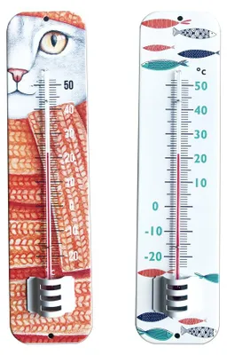 Image de Thermomètre intérieur ou extérieur