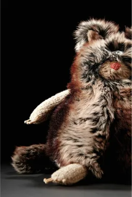 Immagine prodotto di sigikid Beasts Katze Fritten Fritze, Kuscheltier, Plüschtier, Schmusetier, Kuschel Tier, Plüsch, Microfaser-Plüsch, H 23 cm, 38456