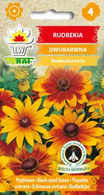 Zdjęcie produktu dla Rudbekia DWUBARWNA Nasiona kwiatów - 633 Toraf