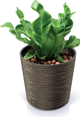 Zdjęcie produktu dla Doniczka Donica Ogrodowa 25 Cm Okrągła Na Taras Do Ogrodu Domu Eco Wood