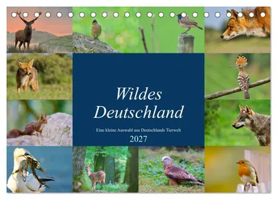Produktbild von Wildes Deutschland (Tischkalender 2027 DIN A5 quer), CALVENDO Monatskalender