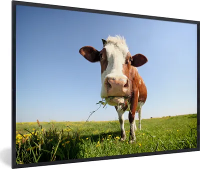 Produktbild von MuchoWow® Gerahmtes Poster Kuh - Tiere - Blumen - Gras 30x20 cm - Poster mit Schwarzem Bilderrahmen Wandposter Rahmen Foto Bilder - Kunstdruck - Bild-Poster