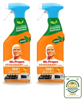 Produktbild von 2 x Mr. Proper Küchenentfetter Spray - Mandarine - 500 ml - Vorratspackung - 2 Stücke