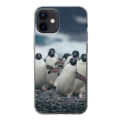 Produktbild von MuchoWow® Handyhülle Schutzhülle Hülle für iPhone 12 Adeliepinguine am Strand Silikon Softcase Handy Hülle - Schutzhülle