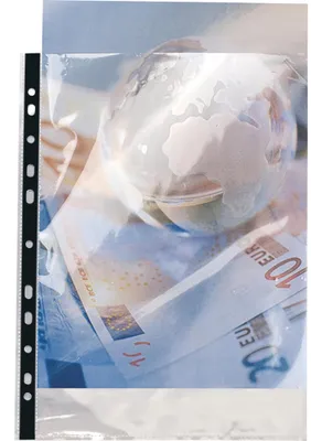 Image de Exacompta 10x Sachet de 10 pochettes perforées PP lisse haute qualité A4 5910E