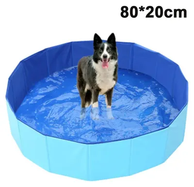 Produktbild von Hundepool, faltbarer Pool für Hunde und Katzen, 80x20 cm, blau 80x20cm