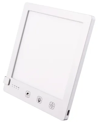 Image de Lampe de lumière du jour Lykke Pro 1000