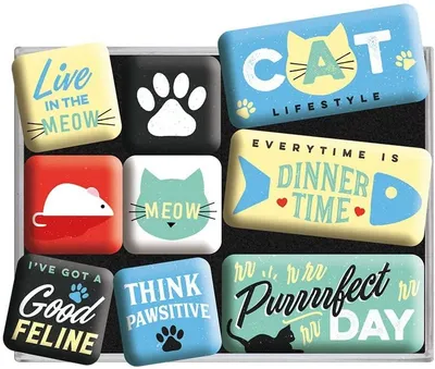 Image de Nostalgic-Art - Set de 9 aimants - Animal Club - Cat Lifestyle