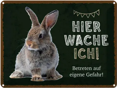 Produktbild von vianmo Blechschild 30x40 cm Kaninchen hier wache eigene Gefahr Tier Haustier