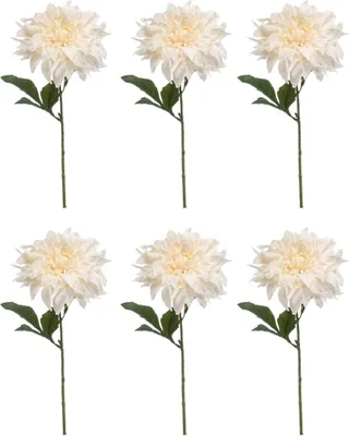 Produktbild von 6er Set künstliche Dahlien mit XXL Blüte creme weiß H. 60cm Emerald Kunstblumen
