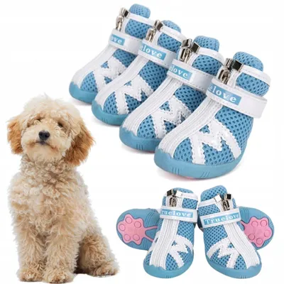 Produktbild von Truelove Protection M Hundeschuhe Blau für kleine Hunde