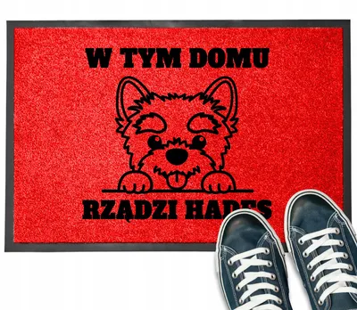 Image de TabPrint Paillasson Rouges Durable 40x60 cm