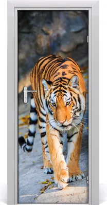 Produktbild von Tulup Türaufkleber 75x205 cm Dekorative Aufkleber Selbstklebend Wasserdichte Tapete Abnehmbar Schlafzimmer Wohnzimmer Wohnkultur - Tiger-Wand