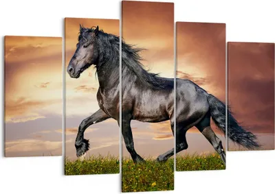 Produktbild von Bild auf Leinwand - Leinwandbild - Pferd Tier Wiese - 150x100cm - Wand Bild - Wanddeko - Leinwanddruck - Bilder - Kunstdruck - Wanddekoration - Leinwand bilder - Wandkunst - EA150x100-2608
