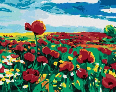Produktbild von Zuty - Malen nach Zahlen - MOHNBLUMEN AUF DEM FELD, 40x50 cm, ohne Keilrahmen