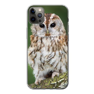 Produktbild von MuchoWow® Handyhülle Schutzhülle Hülle für iPhone 12 Pro Max Braune Eule sitzt auf einem Baum Silikon Softcase Handy Hülle - Hartschale