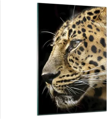 Produktbild von Bilder auf glas - Einteilig - Tiere Leopard wilde Katze wilde Tiere - 80x120cm - Glasbilder - Wandbilder - Bilder - Wanddekoration aus Glas - Glas Bilder - Wandbild auf Glas - GPA80x120-0433