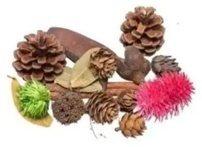 Image de Susz décoratif naturel 30 g
