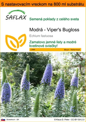 Obrázok produktu pre SAFLAX Garden in the bag - Modrá - Viper's Bugloss - Echium fastuosa - 100 Semená - S pestovateľským substrátom v praktickom samostaviteľnom vrecku