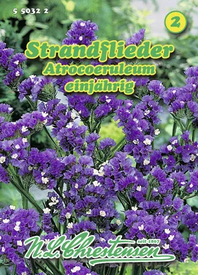 Produktbild von Strandflieder Atrocoeruleum | Lavendelsamen von N.L. Chrestensen